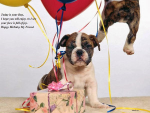 funny 25th birthday quotes