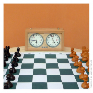 Chess Clocks Which One To Get