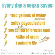 day a vegan saves more vegans adventure ethic diet i m vegans vegans ...