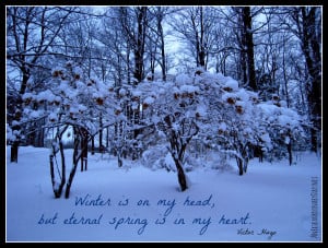 more quotes pictures under winter quotes html code for picture