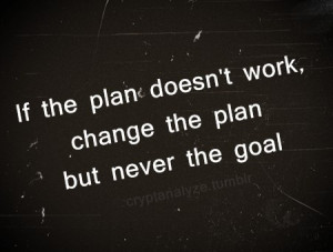 change the plan not the goal by molly