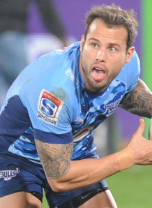 Francois Hougaard Of The Springboks ...