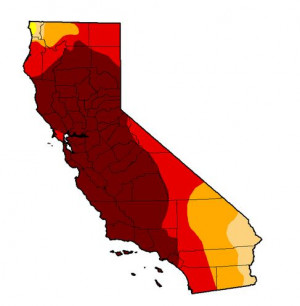 The Drought Monitor map of California, released on Dec. 11, 2014.