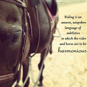 Horse Jumping Quotes and Sayings