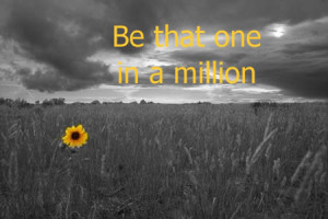 One in a Million photo LoneFlower.jpg