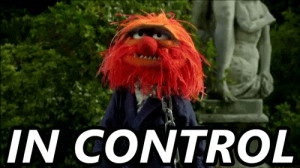 animal the muppets muppet movie in control animated GIF