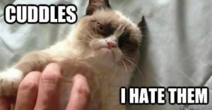 No Cuddles for you Grumpy Cat