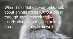 Top Quotes About Animal Rights