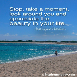 ... take a moment, look around you and appreciate the beauty in your life