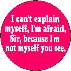 kitchen kitchen dining kitchen utensils gadgets kitchen accessories ...