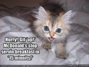 mcdonalds # funny # good morning # sayings # quotes # pictures