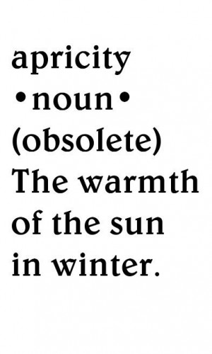 apricity: Love Word, Winter Quotes, Winter Sun Quotes, Warmth Quotes ...