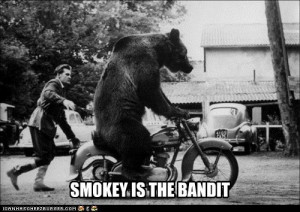 Smokey And The Bandit Meme Smokey is the bandit