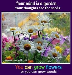 ... quotes.html Quotes To Inspire, Your Mind Is A Garden, Gardening Quotes