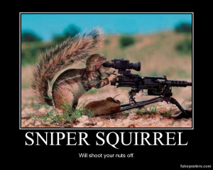 Sniper Squirrel - Demotivational Poster