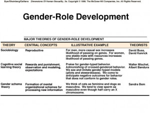 Gender Schema, Development Theory, Cognitive Developmental, Hoop ...