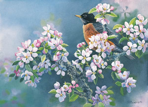 robin in apple blossoms framed painting by susan bourdet