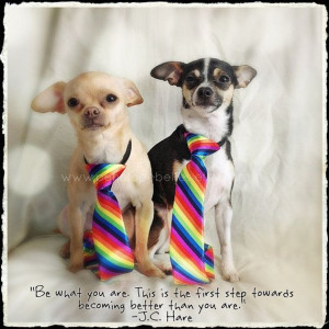 ... Gay Pride card! Love those little guys wearing their rainbow pride