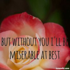 Miserable at Best Mayday Parade quote lyrics More