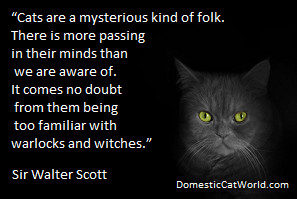 Sir Walter Scott Quote