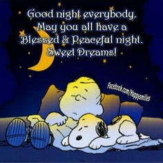 Good night everybody!! May you all have a Blessed & Peaceful night ...