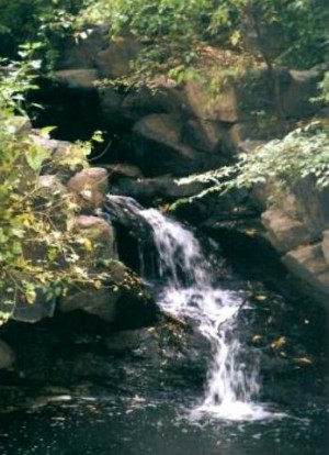 Waterfall in Central Park, New York City