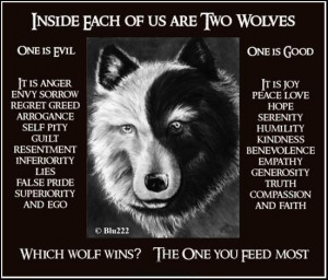 ... wolf wins the elder cherokee indian replied the wolf that you feed
