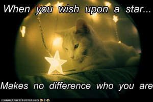 ... -you-wish-upon-a-star-makes-no-difference-who-you-are-cat-quotes.jpg