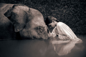 Magical Animal Photography by Gregory Colbert