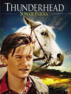 Thunderhead - El hijo de Flicka