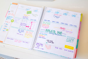 PLANNER QUOTES