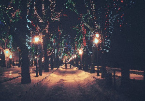 christmas, light, night, winter, wood
