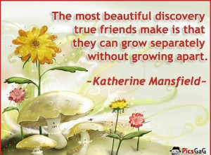 Beautiful Discovery Sayings About Friends