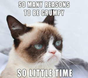 Grumpy-Cat-is-Grumpy.jpg