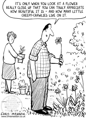 100507-creepy-crawlies-flowers-gardening-cartoon.gif 11-May-2014 09:24 ...