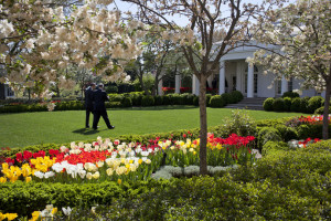 the White House President Barack Obama