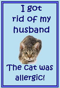 Collectables > Animals > Cats > Other Cat Collectables