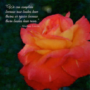 Abraham Lincoln Rose Bush Quote on Canvas Art Block