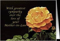 Sorry, for the Loss of Your Mother-in-Law, yellow orange rose card ...