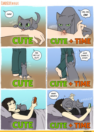 Cute + Time / chaos life :: cute :: time :: cats