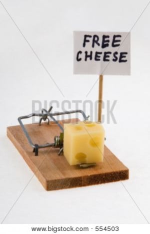 Related Pictures tags mouse trap cheese funny animal funny