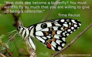 Inspirational Quotes: Trina Paulus