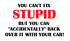 Troll Kill: You Can't Fix Stupid, But You Can 