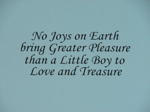 ... Pleasure than a Little Boy to Love and Treasure, vinyl wall quote