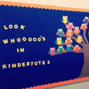 Back To School Kindergarten Owls Bulletin Board