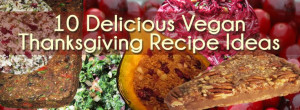 10 Delicious Raw and Vegan Thanksgiving Recipe Ideas