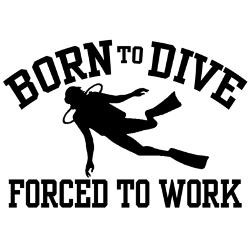 funny_scuba_diver_stickers.jpg?color=White&height=250&width=250 ...