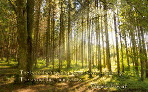The best time to plant a tree is twenty years ago…” – Chinese ...