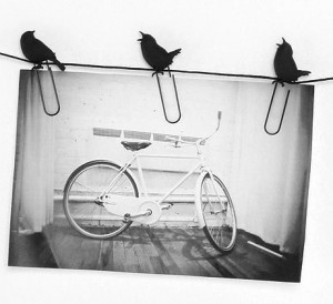 birds-on-a-wire-photo-clips-4.jpg