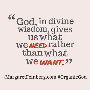 God, in divine wisdom, gives us what we need rather than what we want ...